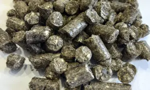 Sprzedaż pelletu: jaki kod PKD wybrać? Ważne informacje