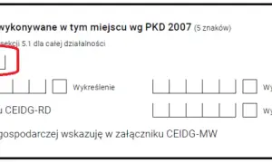 Ile kodów PKD w CEIDG? Unikaj błędów przy rejestracji firmy