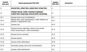 Przeważające PKD krok po kroku: Jak bez stresu ustalić główny kod działalności