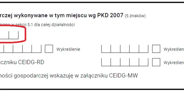 Ile kodów PKD w CEIDG? Unikaj błędów przy rejestracji firmy