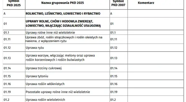Przeważające PKD krok po kroku: Jak bez stresu ustalić główny kod działalności
