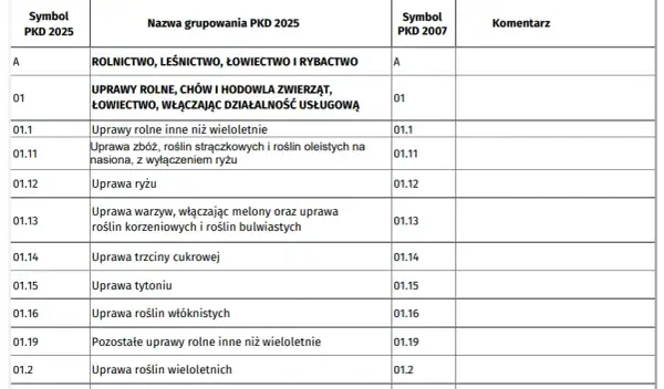 Przeważające PKD krok po kroku: Jak bez stresu ustalić główny kod działalności
